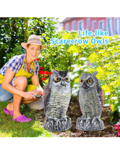Hedoc Espantapájaros de Búho Real Multicolor para Jardín 2