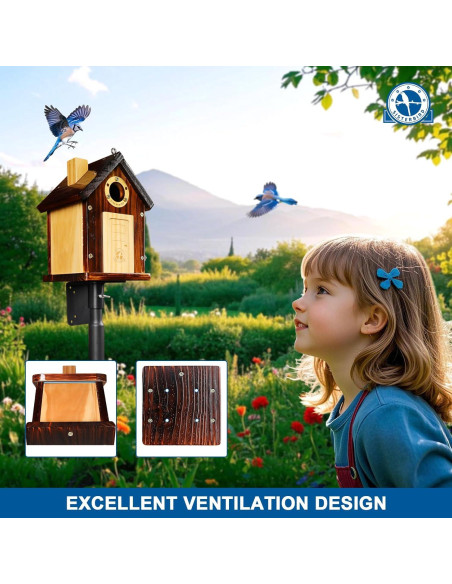 Casa de Aves SISTERBIRD de Madera para Exterior 24cm