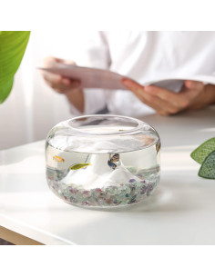 Cristales Chips de Fluorita T4U 450g para Manualidades y Acuarios 2