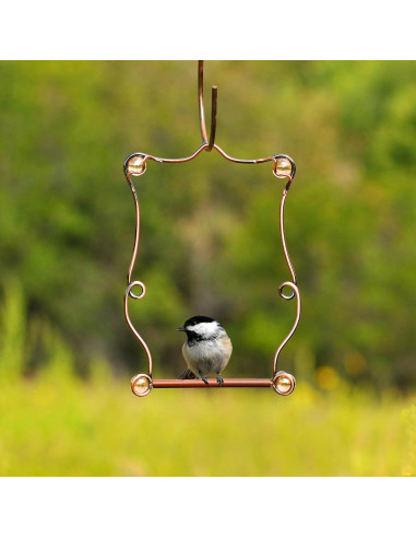 Columpio para Colibríes Perky-Pet con Perlas de Cobre