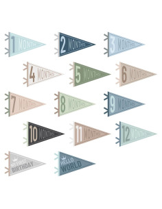 Banderas de Hito Mensual para Bebés VitalCozy - 14 Pcs Fieltro