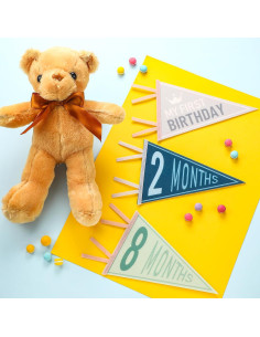 Banderas de Hito Mensual para Bebés VitalCozy - 14 Pcs Fieltro 2