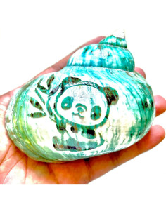 Concha Grande Verde Pulida Lodkksg con Patrón de Panda 8.9-10.2 cm 2