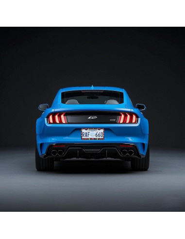 Marcos de Placas de Licencia PINFFSHU 2 Pcs Flores Coloridas 31.5x16.2 cm