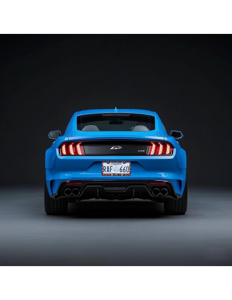 Marcos de Placas de Licencia PINFFSHU 2 Pcs Flores Coloridas 31.5x16.2 cm