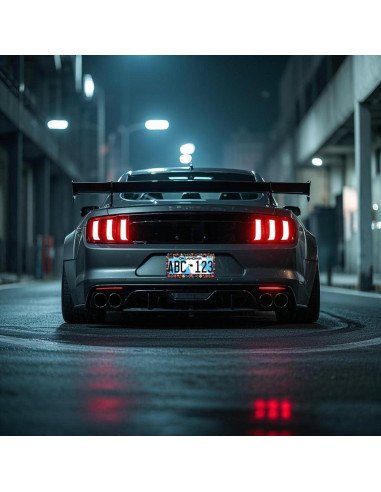 Marcos de Placas de Licencia PINFFSHU 2 Pcs Flores Coloridas 31.5x16.2 cm