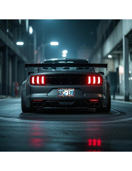 Marcos de Placas de Licencia PINFFSHU 2 Pcs Flores Coloridas 31.5x16.2 cm