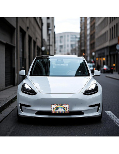 Marcos de Placas de Licencia PINFFSHU 2 Pcs Flores Coloridas 31.5x16.2 cm