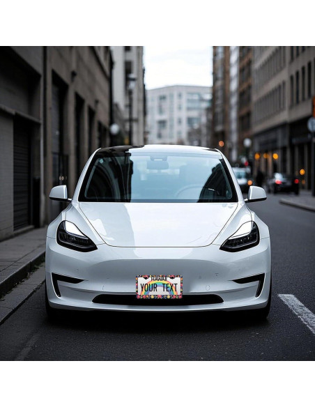 Marcos de Placas de Licencia PINFFSHU 2 Pcs Flores Coloridas 31.5x16.2 cm