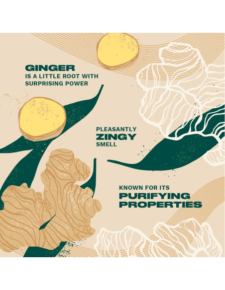 Acondicionador para Cuero Cabelludo The Body Shop Jengibre 248 ml