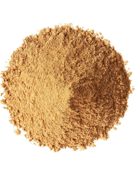 Polvo de Hongo Cordyceps Orgánico Food to Live 227g - Vegano, Kosher