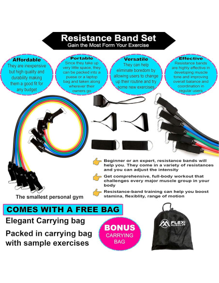 Conjunto de Bandas de Resistencia FLEXI MUSCLES 100 LBS