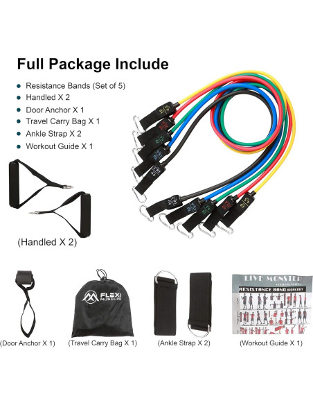 Conjunto de Bandas de Resistencia FLEXI MUSCLES 100 LBS