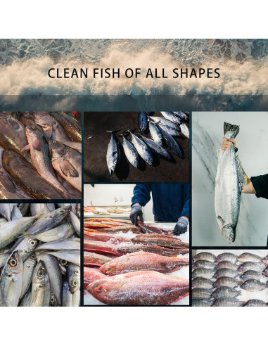 Escalador de Pescado Eléctrico YiDeyuLL 5500 RPM Inalámbrico