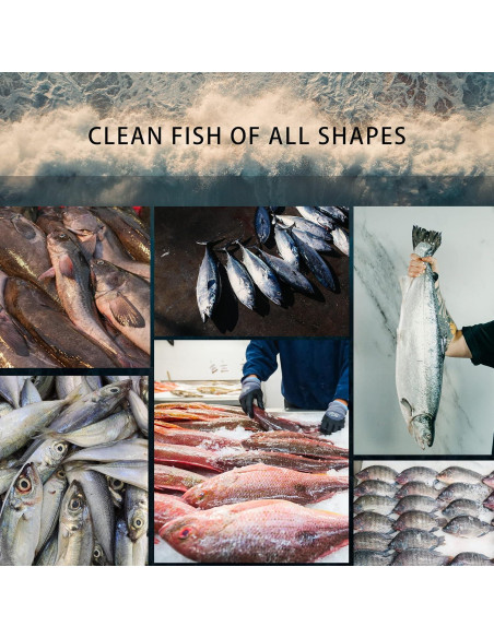 Escalador de Pescado Eléctrico YiDeyuLL 5500 RPM Inalámbrico