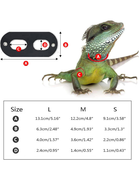 Arnés y Correa de Cuero Suave AIITLE - 3 Tamaños para Reptiles Arnés y Correa de Cuero Suave AIITLE - 3 Tamaños para Reptiles