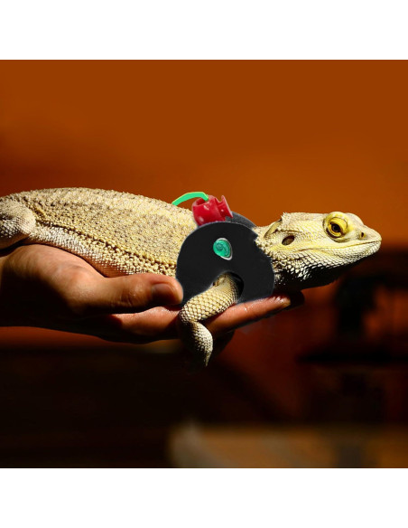 Arnés y Correa de Cuero Suave AIITLE - 3 Tamaños para Reptiles Arnés y Correa de Cuero Suave AIITLE - 3 Tamaños para Reptiles