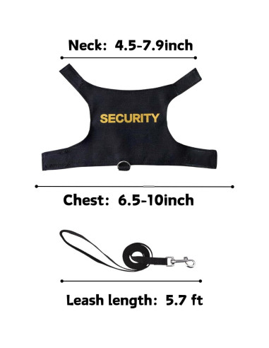 Arnés y Correa Ajustable para Dragón Barbudo SEZDEKI Negro