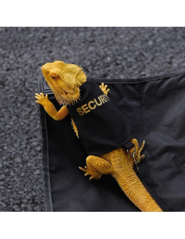 Arnés y Correa Ajustable para Dragón Barbudo SEZDEKI Negro