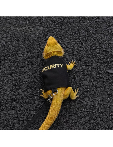 Arnés y Correa Ajustable para Dragón Barbudo SEZDEKI Negro