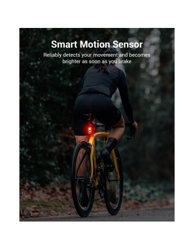 Luz Trasera Magicshine SEEMEE 300, 300 Lúmenes, IPX6