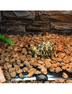 Almohadilla Térmica para Reptiles Tfwadmx 14W 27.94x27.94cm 2