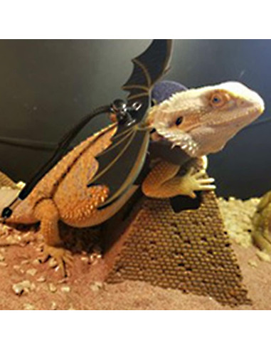 Arnés Ajustable para Dragón Barbudo Abustle Pig - 3 Tamaños