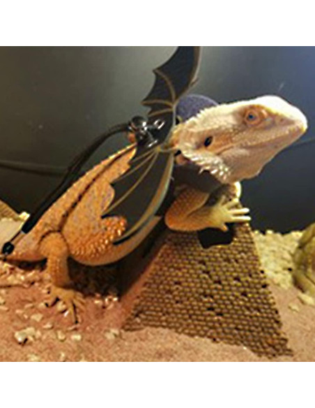 Arnés Ajustable para Dragón Barbudo Abustle Pig - 3 Tamaños