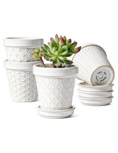 Macetas Cerámicas LE TAUCI para Suculentas 3" Set de 4