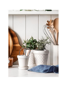 Macetas Cerámicas LE TAUCI para Suculentas 3" Set de 4 2