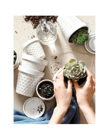 Macetas Cerámicas LE TAUCI para Suculentas 3" Set de 4