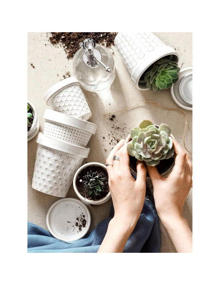 Macetas Cerámicas LE TAUCI para Suculentas 3" Set de 4