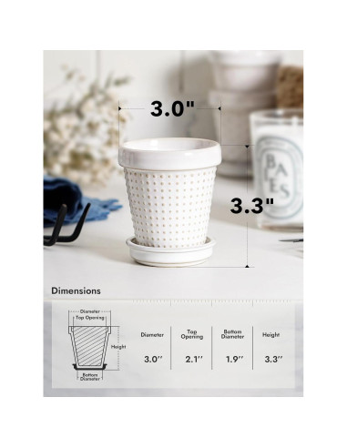 Macetas Cerámicas LE TAUCI para Suculentas 3" Set de 4