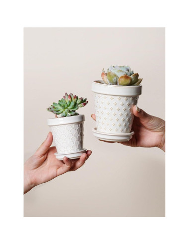 Macetas Cerámicas LE TAUCI para Suculentas 3" Set de 4