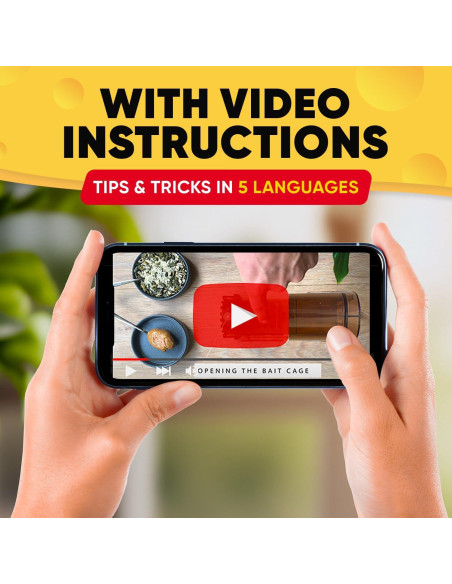 Trampas Humanas para Ratones Motel Mouse - Paquete de 4