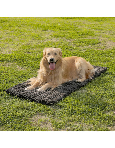 Funda de Asiento para Perros Awjcsv DCSC Antideslizante 63x137cm