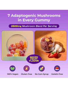 Gomitas Orgánicas de Ashwagandha y Hongos Medicinales 191g 2