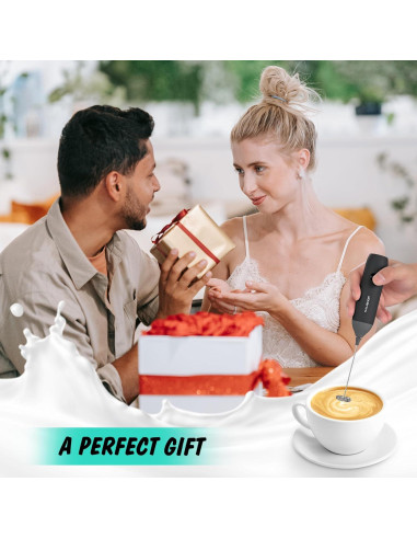 Espumador de Leche Eléctrico HAUSHOF Recargable USB-C Negro