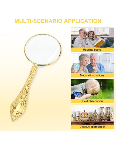 Lupa de Mano Rongon 5X con Mango Dorado para Lectura