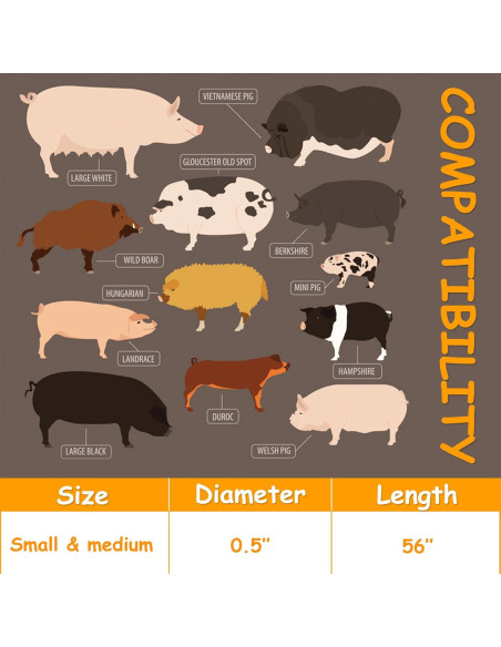 Arnés Ajustable para Cerdo Mascota Drunhan Negro 22.86cm