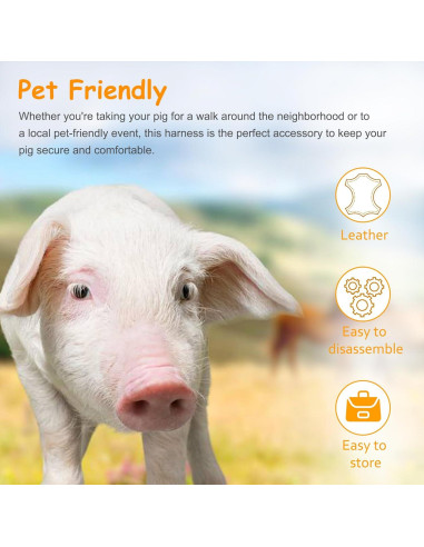 Arnés Ajustable para Cerdo Mascota Drunhan Negro 22.86cm