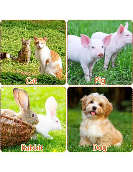 Arnés Ajustable para Cerdo Mascota Drunhan Negro 22.86cm