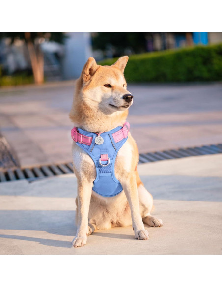 Arnés para Perros PHOEPET S Ajustable Reflectante Azul Bebé Arnés para Perros PHOEPET S Ajustable Reflectante Azul Bebé