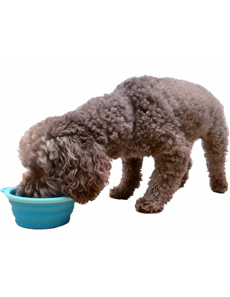 Cuenco Plegable de Silicona Prima Pets 1.5 Tazas Aqua - 2 Paquete