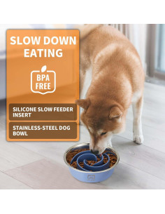 Cuenco para Perros 2-en-1 Bestalk Acero Inoxidable Antideslizante 2