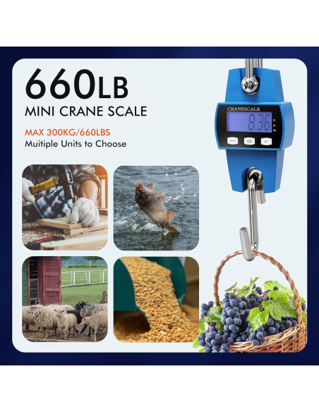 Escala Digital Colgante 300kg Zhengzhou Yinglian Azul