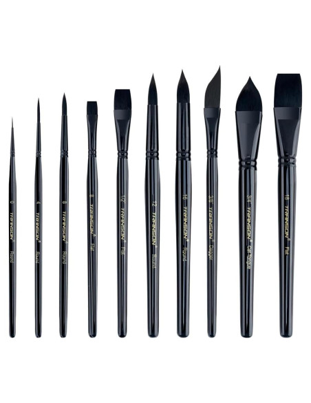 Set de 10 Pinceles de Acuarela Transon Profesionales