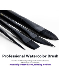 Set de 10 Pinceles de Acuarela Transon Profesionales 2