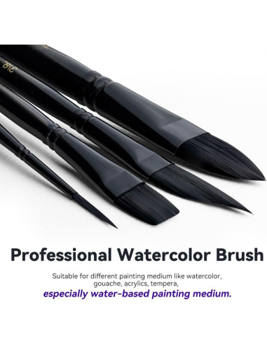 Set de 10 Pinceles de Acuarela Transon Profesionales