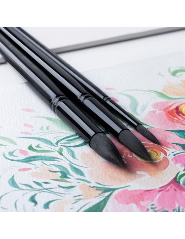 Set de 10 Pinceles de Acuarela Transon Profesionales